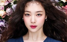 Quốc hội Hàn Quốc lập tiểu ban xem xét Luật Sulli