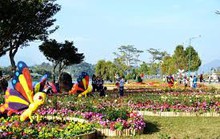 Festival hoa Đà Lạt 2019 có gì đặc biệt mà thu hút 300.000 lượt khách?