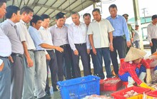 Nỗ lực gỡ thẻ vàng thủy sản: Doanh nghiệp Việt sẵn sàng đến đâu?