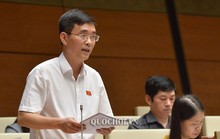 Đại biểu Quốc hội nêu lý do Việt Nam chưa hóa rồng, hóa hổ