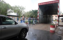 Mối nguy toàn cầu từ dịch tả heo châu Phi