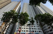 Chung cư phải có tầng lánh nạn, phòng lánh nạn