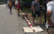 Cặp vợ chồng đi xe máy tử vong sau cú va chạm với xe bán tải