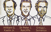 Bất ngờ với Giải Nobel Y học 2019