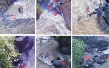 Thái Lan: Thêm hàng loạt voi chết dưới thác nước