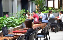 Giá thuê văn phòng tăng vọt vẫn hút người thuê
