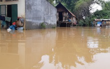 Đắk Lắk: Hàng trăm nhà dân chìm trong nước lũ