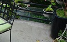 Màn chơi cao tay của 1 cô gái trẻ  và 3 người đàn ông