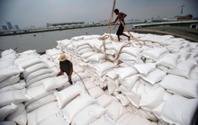 Gạo Thái Lan suy giảm vị thế