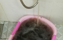 Kinh hãi: Nước sinh hoạt Nha Trang đen như cà phê