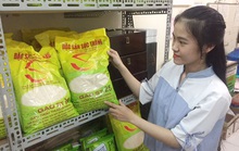 Gạo ngon nhất thế giới bị nhái tràn lan