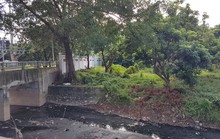 Gã đàn ông đuổi người thân ra khỏi nhà, lập lôcốt gắn camera để làm bậy