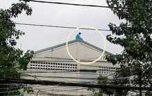 Bất ngờ lý lịch của thanh niên làm loạn ở Đà Nẵng vì nghi bị định vị của quý