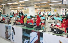 Bình Dương: Chủ động tìm việc làm mới cho công nhân mất việc