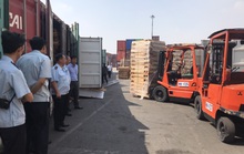 Phát hiện 25 container gỗ xẻ đội lốt gỗ cao su, trị giá 11 tỉ đồng