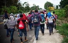 83,9% người di cư trong nước ở độ tuổi 15 - 39
