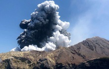 New Zealand cấp bách nhập da người từ Mỹ để cứu nạn nhân núi lửa