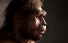 Phát hiện thêm loài người khác tồn tại song song chúng ta suốt 200.000 năm