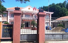 Bình Định: Buộc thôi việc công chức dùng bằng giả