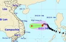 Bão số 8 đang suy yếu nhanh trên Biển Đông