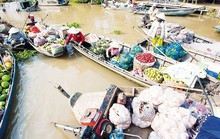 Người đàn bà chòng chành cùng chiếc ghe ở Ngan Dừa