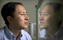 Vụ nhà khoa học Trung Quốc chỉnh sửa gien người: Ảnh hưởng đến não bộ?