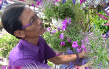 [Emagazine] “Phù thủy” của các loài hoa màu tím