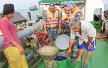 Vùng Cảnh sát biển 4 ăn Tết không quên nhiệm vụ