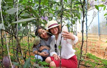 Kiếm tiền từ du lịch nông nghiệp