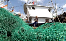 Nguồn cá toàn cầu lâm nguy