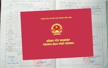 Được bổ nhiệm phó chánh văn phòng huyện ủy nhưng chưa tốt nghiệp THPT