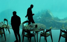 Độc đáo nhà hàng dưới biển