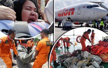 Hé lộ nguyên nhân khiến máy bay Boeing 737 MAX gặp nạn