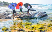 Bãi rêu cổ tích hút du khách khám phá trầm tích núi lửa Quảng Ngãi