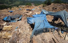 Bồng Miêu: Giá phải trả đắt hơn vàng!