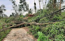 Lốc xoáy kinh hoàng gây thiệt hại nặng ở Quảng Nam