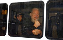 Định trốn sang Nhật Bản, trợ lý của ông chủ Wikileaks bị bắt