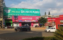 Gia Lai: Cho thuê hàng loạt đất công trái luật