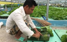 Doanh nghiệp nhà quê hướng tới môi trường