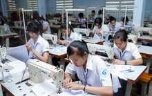 Những “miền đất hứa” của lao động Việt