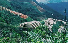 Gương trời Tây Bắc