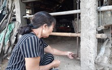 Phẫn nộ kẻ gian xẻ thịt 2 đùi bò mẹ đang mang thai rồi trộm đi