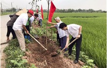 Hà Nội: Tạo mảng xanh cho vùng nông thôn mới