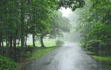 Nào có hay lúc mẹ ngán cơm...