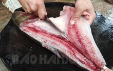 Chết thèm với tuyệt chiêu làm gỏi cá mè Cẩm Hoàng
