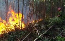 Rừng khắp nơi ở Thừa Thiên Huế đang cháy ngùn ngụt