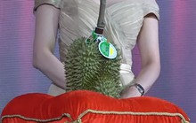 Sốc với trái sầu riêng được bán với giá 1,12 tỉ đồng