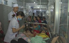 Tìm ra thủ phạm khiến hơn 350 người nhập viện