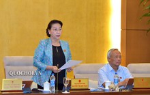 Đề xuất hoãn xuất cảnh người đang bị thanh tra