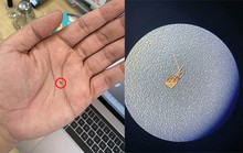 Chiêu lừa 'biến' iPhone lock thành quốc tế bằng sim ghép siêu nhỏ
